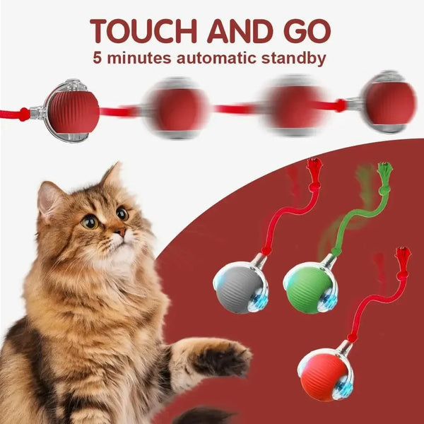 PlayRoll Interactive Pet Ball