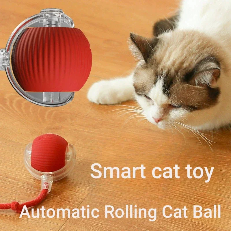 PlayRoll Interactive Pet Ball