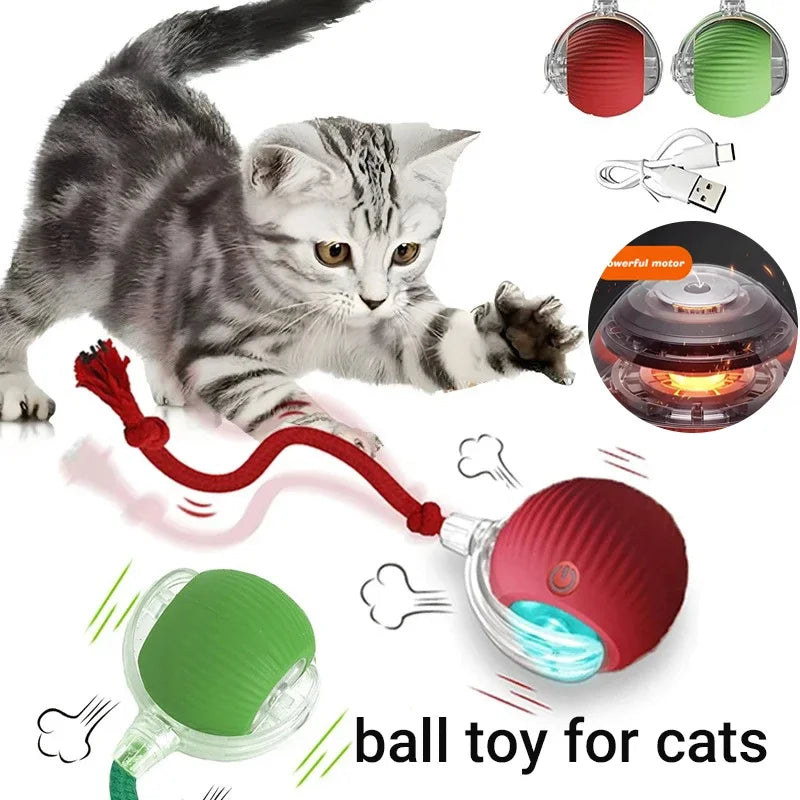 PlayRoll Interactive Pet Ball