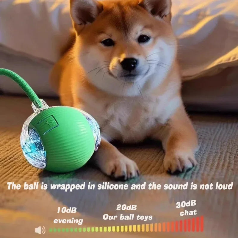 PlayRoll Interactive Pet Ball