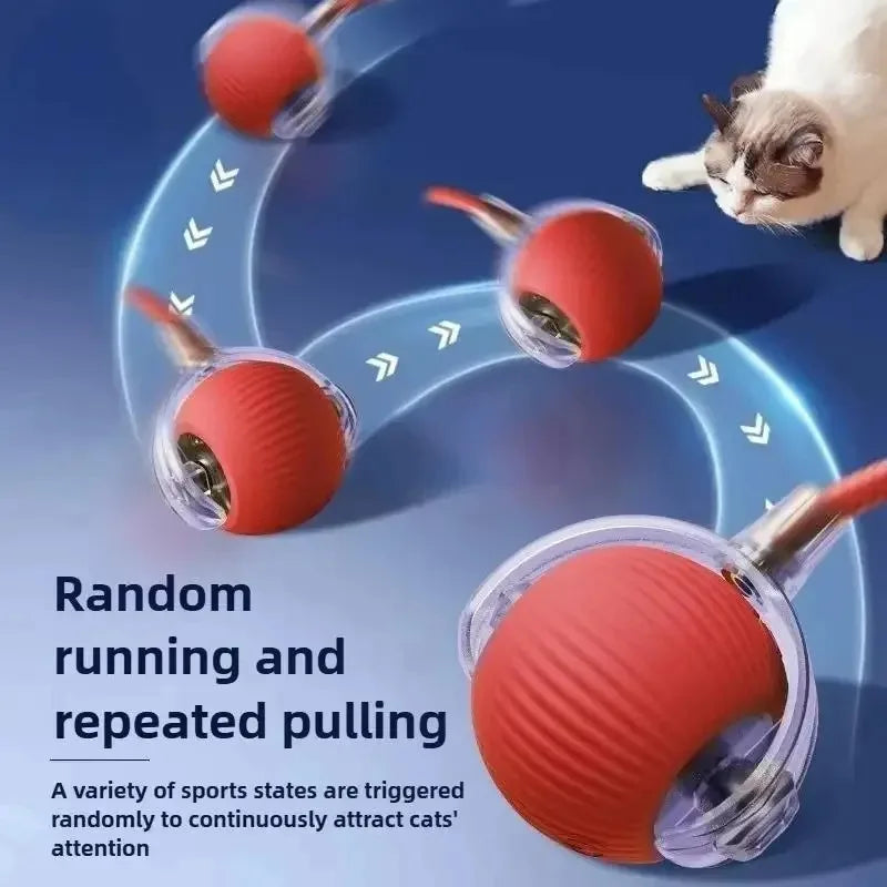 PlayRoll Interactive Pet Ball